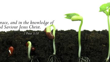 Perfecting and Equipping the Saints for the Work of the Ministry